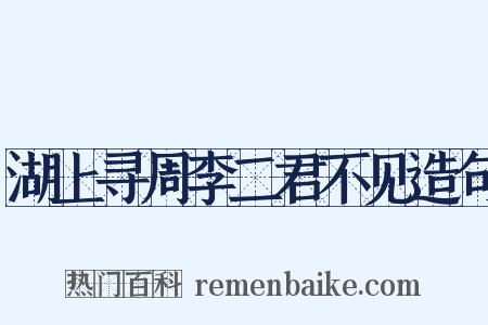 湖上寻周李二君不见造句是什么意思的图片